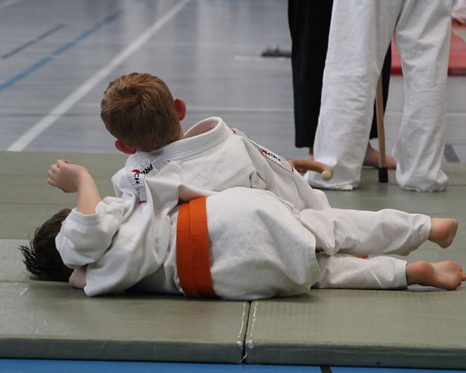 Auch der Judo-Nachwuchs des PSV zeigte sein K&ouml;nnen. (Foto: Foto: Verein)