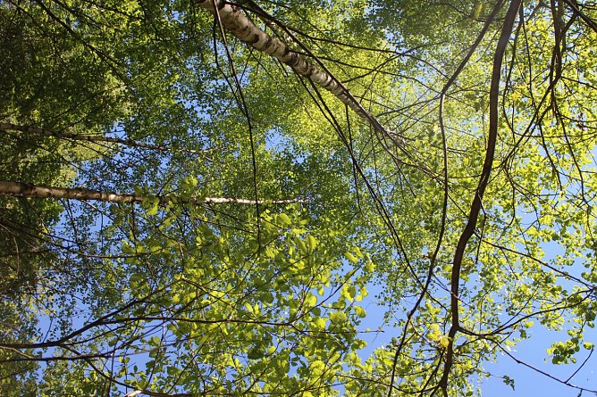 Wetterbild (Foto: Angelo Glashagel)