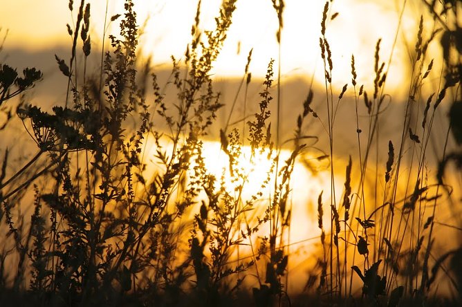 Wetterbild (Foto: Gernot Thelemann) Wetterbild (Foto: Gernot Thelemann)