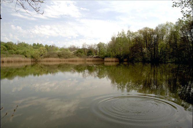Pontelteich bei Ellrich (Foto: Gernot Thelemann)