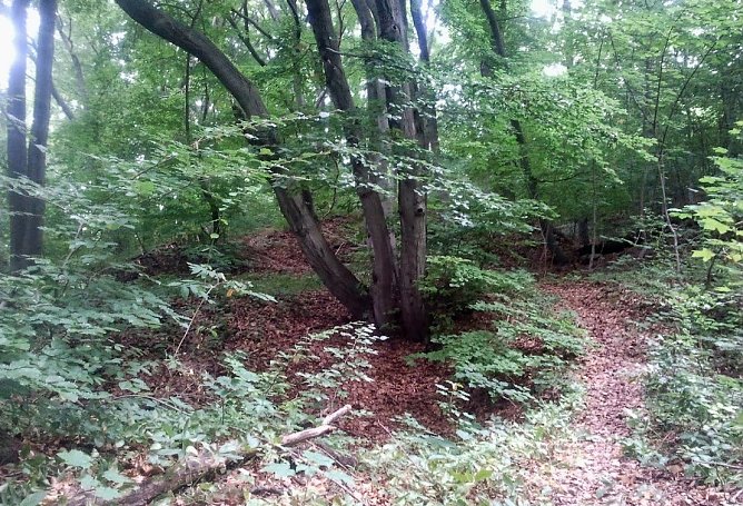 Wetter-Bild (Foto: Gernot Thelemann)