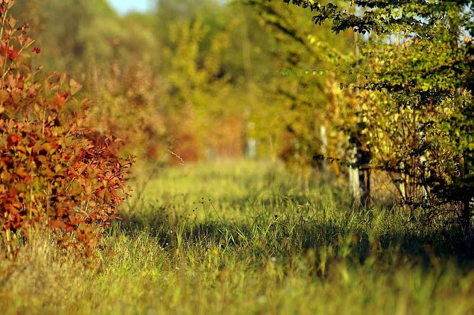 Wetterbild (Foto: Gernot Thelemann)