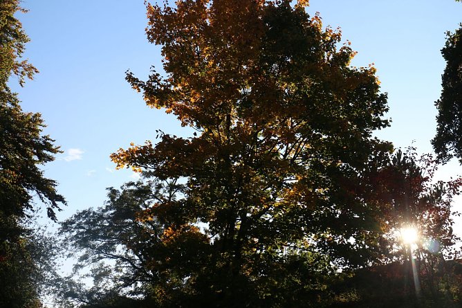 Wetterbild (Foto: Angelo Glashagel)