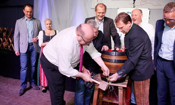 Angestochen (Foto: AHP/Fischer)