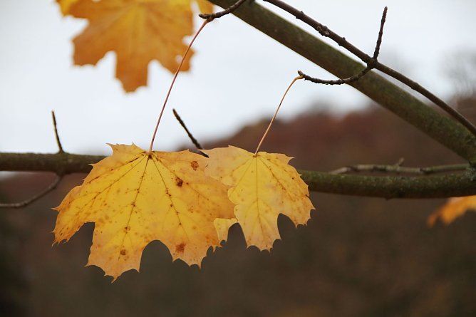 Wetterbild (Foto: Angelo Glashagel)
