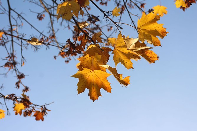 Wetterbild (Foto: Angelo Glashagel)