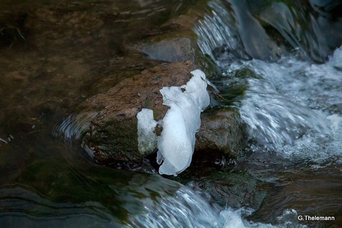 Wetter-Bild (Foto: Gernot Thelemann)