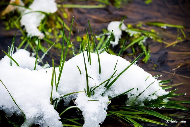 Wetterbild (Foto: Gernot Thelemann)