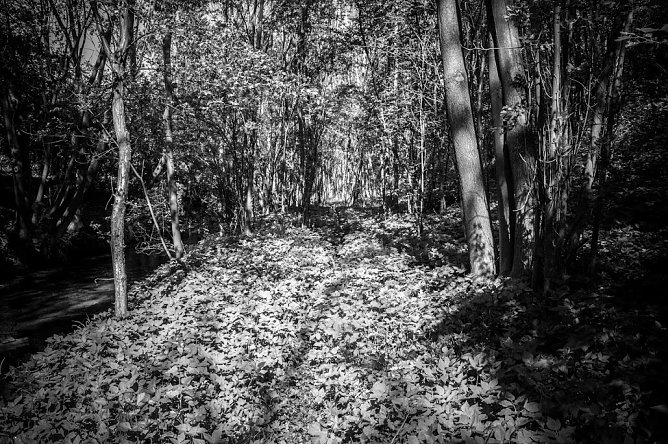 Wetter-Bild (Foto: Gernot Thelemann)