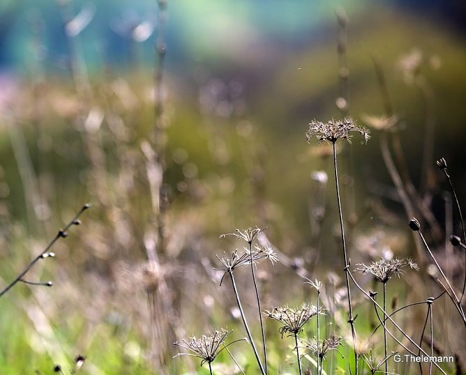 Wetter-Bild (Foto: Gernot Thelemann)
