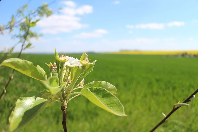 Wetterbild (Foto: Angelo Glashagel)