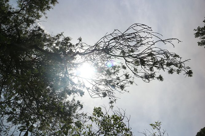 Wetterbild (Foto: Angelo Glashagel)