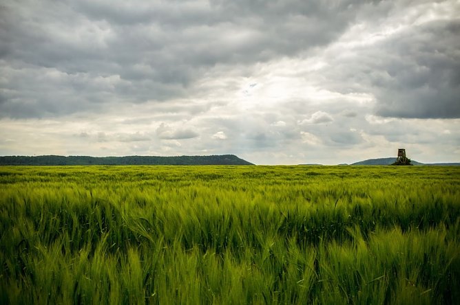 Wetter-Bild (Foto: Gernot Thelemann)