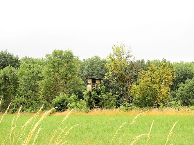 Peter Blei unterwegs - diesmal in der freien Natur und im Jugendwaldheim Rathsfeld (Foto: Peter Blei)