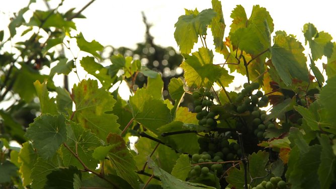 Wetterbild (Foto: Angelo Glashagel) Wetterbild (Foto: Angelo Glashagel)