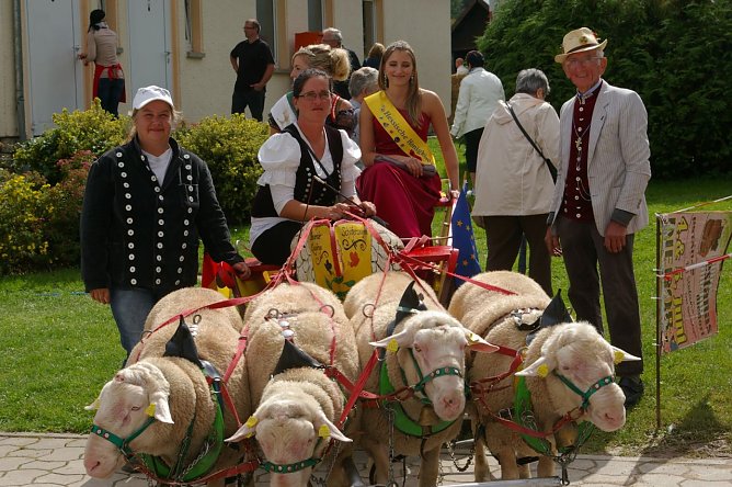 Bauernmarkt (Foto: Ilka Kühn) Bauernmarkt (Foto: Ilka Kühn)