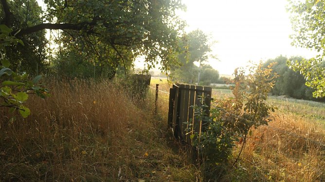 Wetterbild (Foto: Angelo Glashagel) Wetterbild (Foto: Angelo Glashagel)