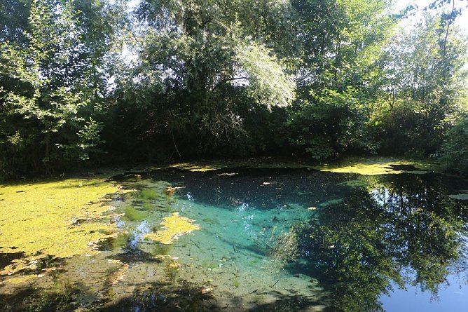 Wetterbild (Foto: Angelo Glashagel)