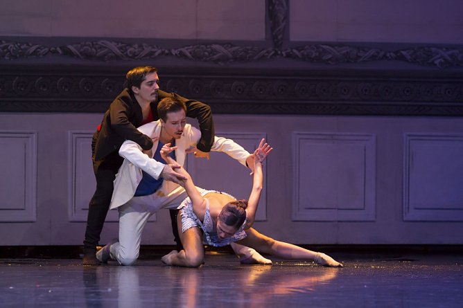 Schwanensee (Foto: Theater)