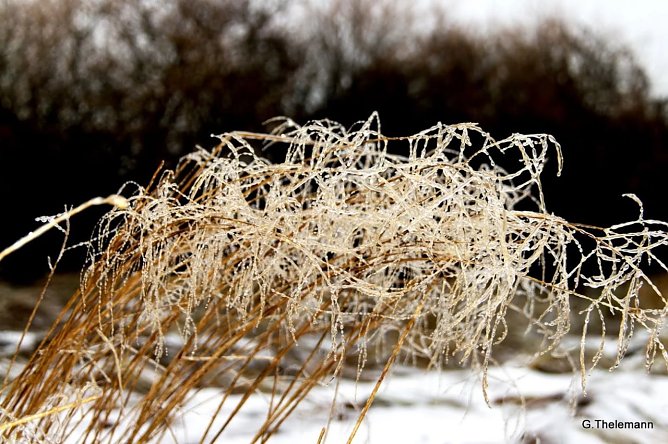 Wird es Winter? (Foto: Gernot Thelemann)
