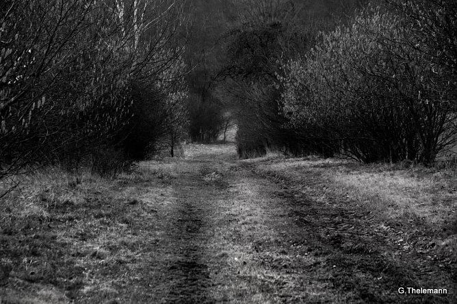 Wetter-Bild (Foto: Gernot Thelemann)