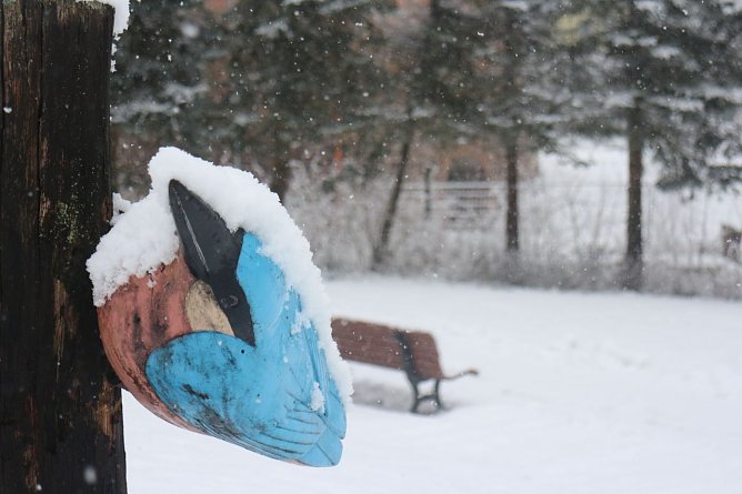 Wetterbild (Foto: Angelo Glashagel) Wetterbild (Foto: Angelo Glashagel)