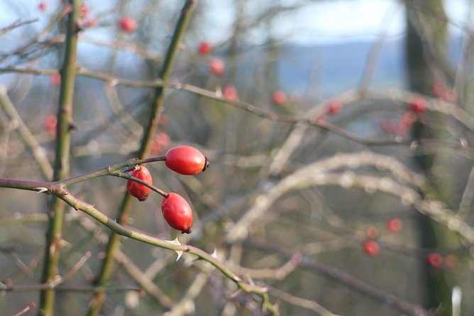 Wetterbild (Foto: Angelo Glashagel)