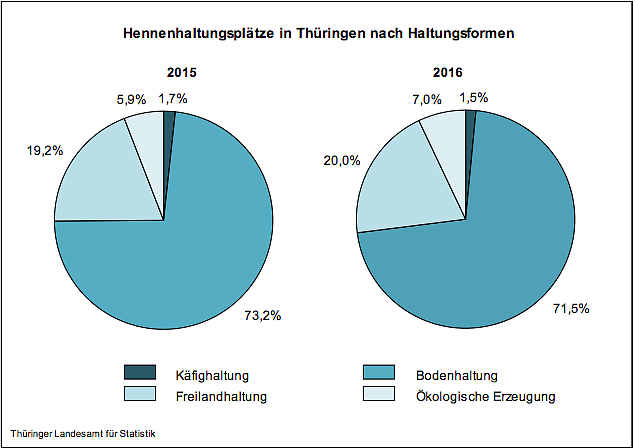 Hennenhaltungspl&auml;tze in Th&uuml;ringen (Foto: Th&uuml;ringer Landesamt f&uuml;r Statistik)