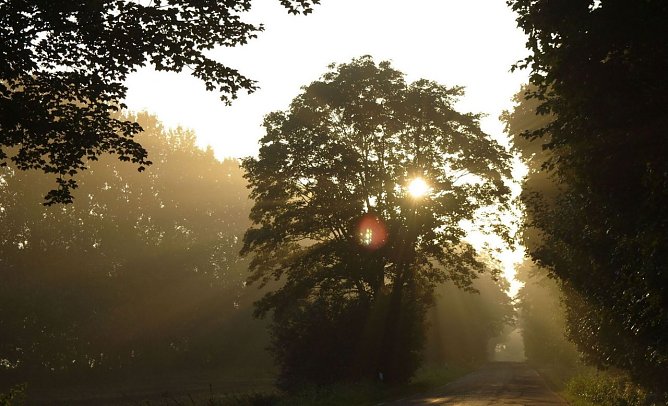 Wetter-Bild (Foto: Gernot Thelemann)