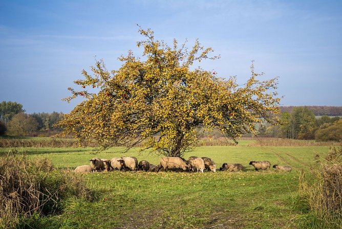 Schatten gesucht (Foto: Gernot Thelemann)