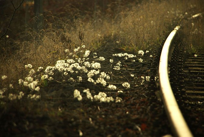 Wetter-Bild (Foto: Gernot Thelemann)