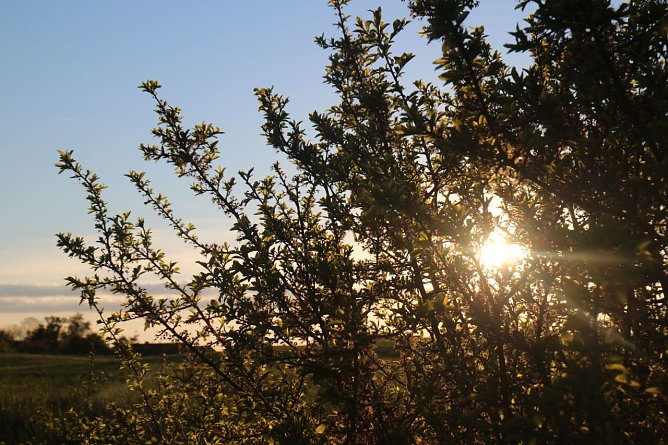 Wetterbild (Foto: Angelo Glashagel) Wetterbild (Foto: Angelo Glashagel)