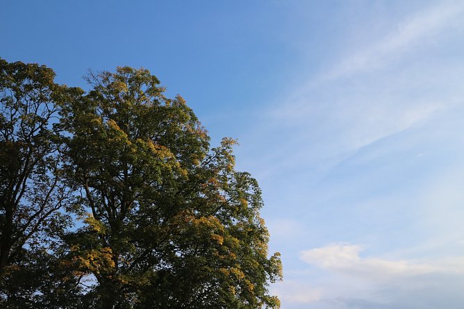 Wetterbild (Foto: Angelo Glashagel) Wetterbild (Foto: Angelo Glashagel)