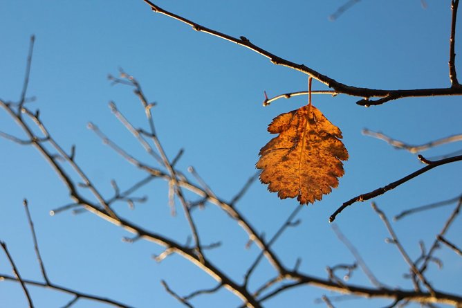 Wetterbild (Foto: Angelo Glashagel) Wetterbild (Foto: Angelo Glashagel)