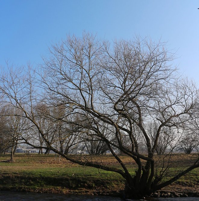 Wetterbild (Foto: Angelo Glashagel) Wetterbild (Foto: Angelo Glashagel)