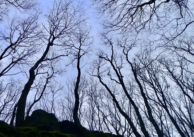 Wetterbild (Foto: Angelo Glashagel)