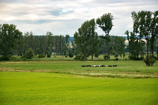 Wetterbild (Foto: Gernot Thelemann)
