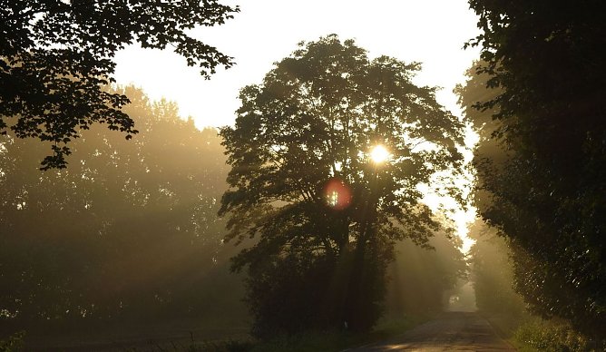 Wetterbild (Foto: Gernot Thelemann)