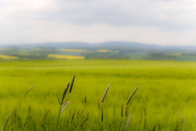 Wetterbild (Foto: Gernot Thelemann)
