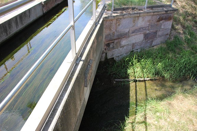 MDR TH&Uuml;RINGEN Osterspaziergang (Foto: Karl-Heinz Herrmann)