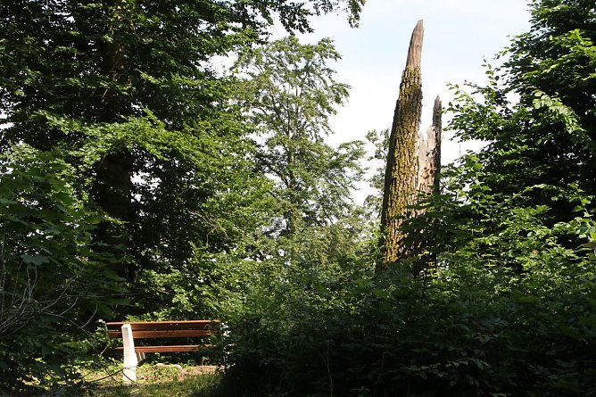 Wetterbild (Foto: Angelo Glashagel)