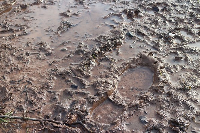 Wetterbild (Foto: Angelo Glashagel)