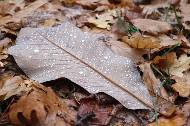 Wetterbild (Foto: Angelo Glashagel)