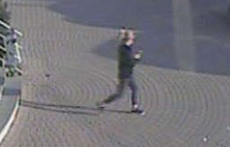 Tatverd&auml;chtige (Foto: Landespolizeiinspektion Nordhausen)