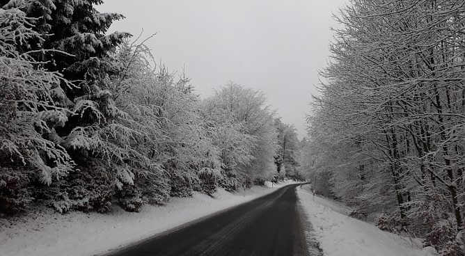 Heute auf dem Weg von Rothes&uuml;tte nach Sophienhof (Foto: privat)