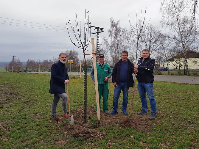 Landrat Harald Zanker mit Ralf Dobeneck, R&uuml;diger Meyer und Matthias Niebuhr beim Pflanzen des Obstbaumes am Ortseingang von K&ouml;rner. (v.l.n.r.) (Foto: Pressestelle Landratsamt Unstrut-Hainich-Kreis)