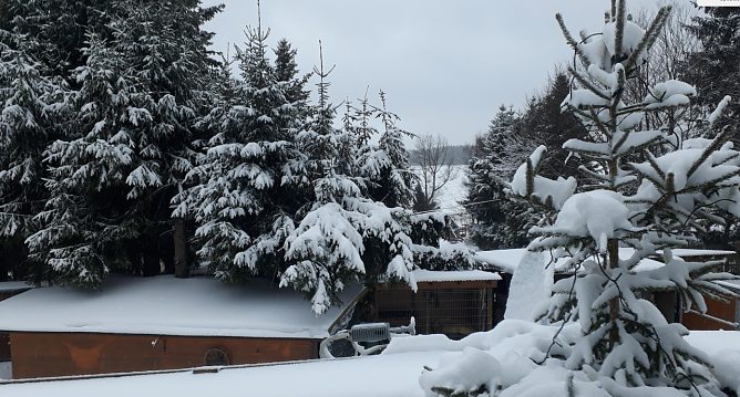Wetterbild (Foto: Wolfgang J&ouml;rgens)
