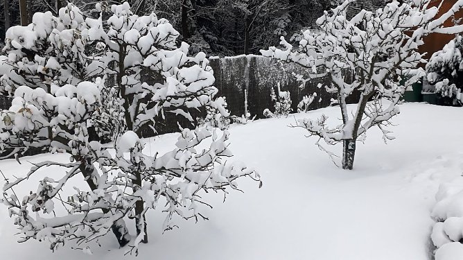 Winter in Sophienhof (Foto: W. J&ouml;rgens)