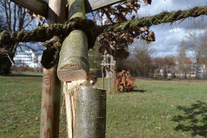 Besch&auml;digte Einheitsb&auml;ume auf dem Alten Friedhof (Foto: Pressestelle Stadtverwaltung M&uuml;hlhausen)