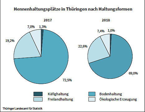 Hennenhaltungspl&auml;tze in Th&uuml;ringen nach Haltungsformen (Foto: Th&uuml;ringer Landesamt f&uuml;r Statistik)